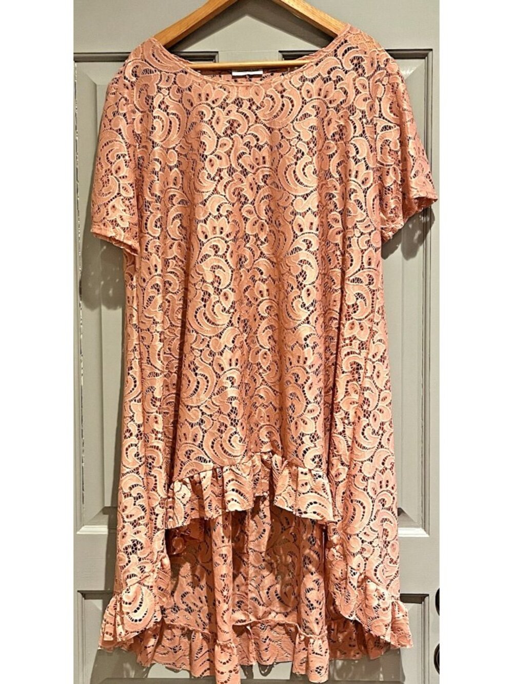 Sheer Lace Overlay Pink Plus Size Asymmetrical Ruffle Fairy Romantic Feminine